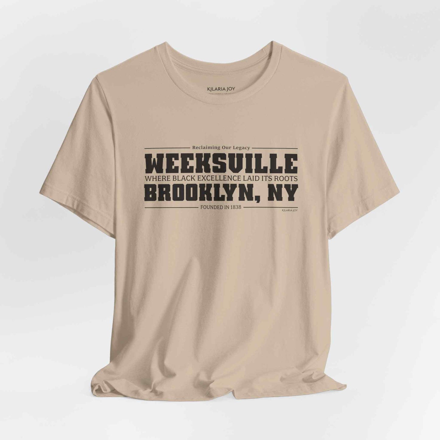 Weeksville Women's Classic Modern Fit T-Shirt