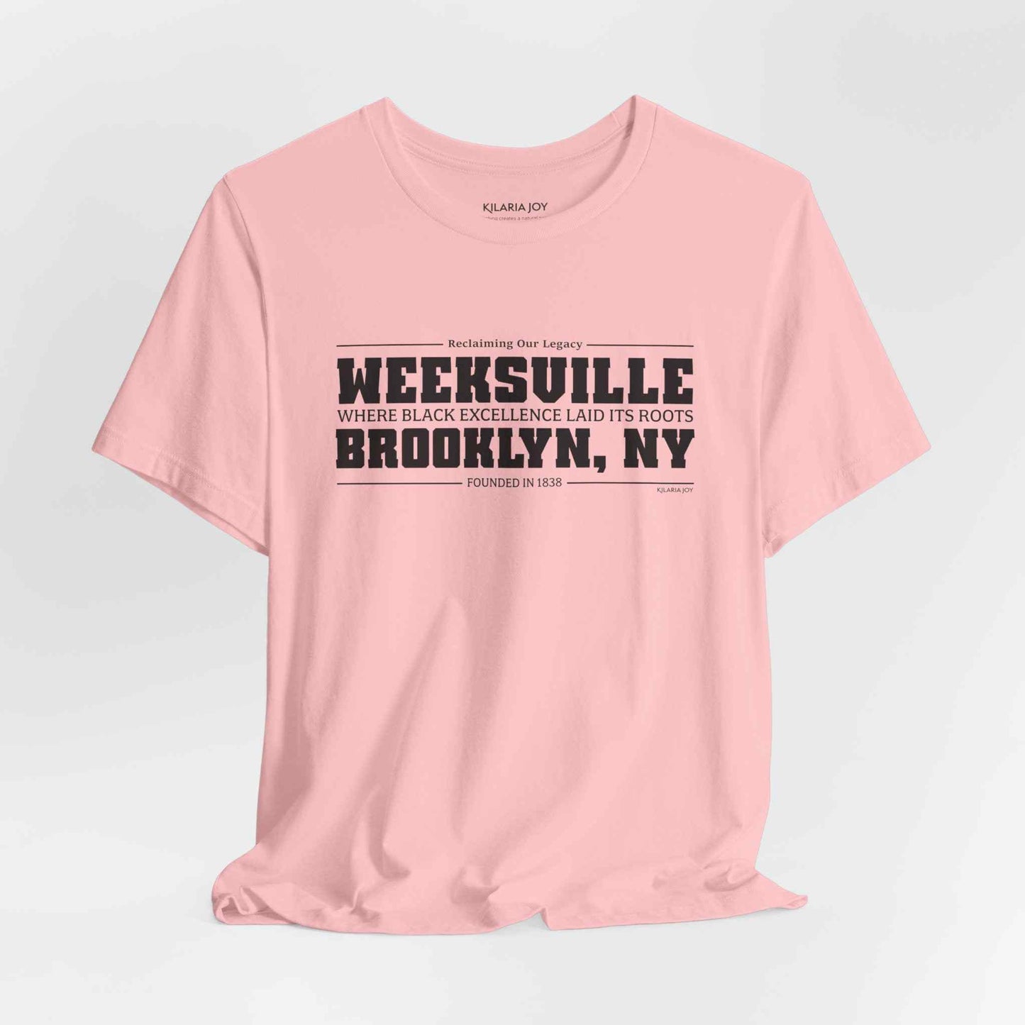 Weeksville Women's Classic Modern Fit T-Shirt