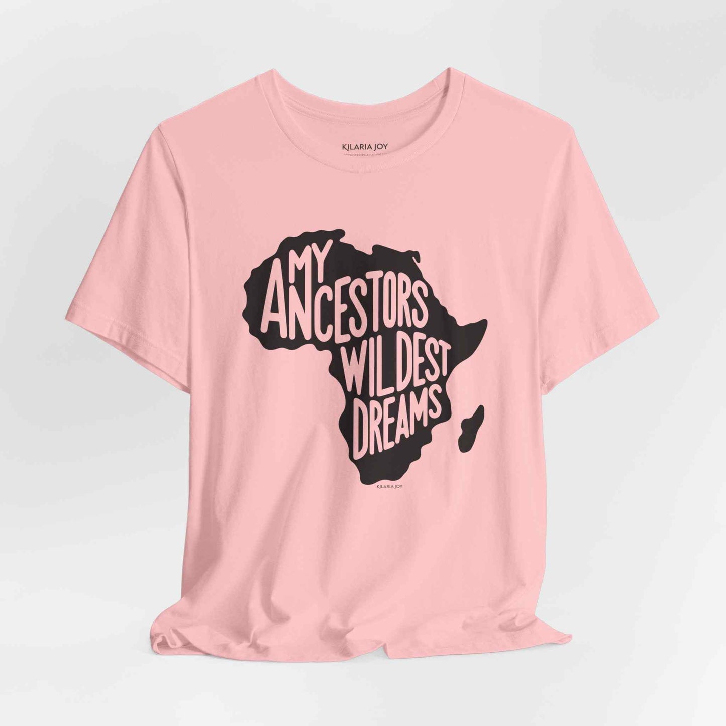 Ancestors Wildest Dreams Women's Classic Modern Fit T-Shirt