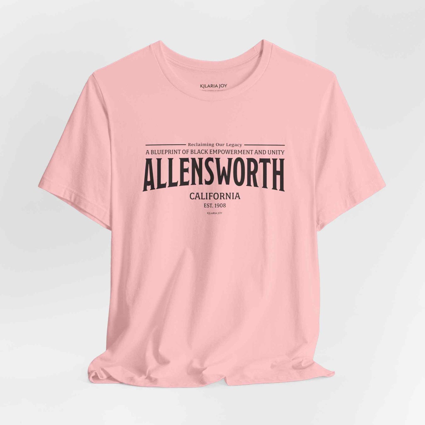 Allensworth Women's Classic Modern Fit T-Shirt