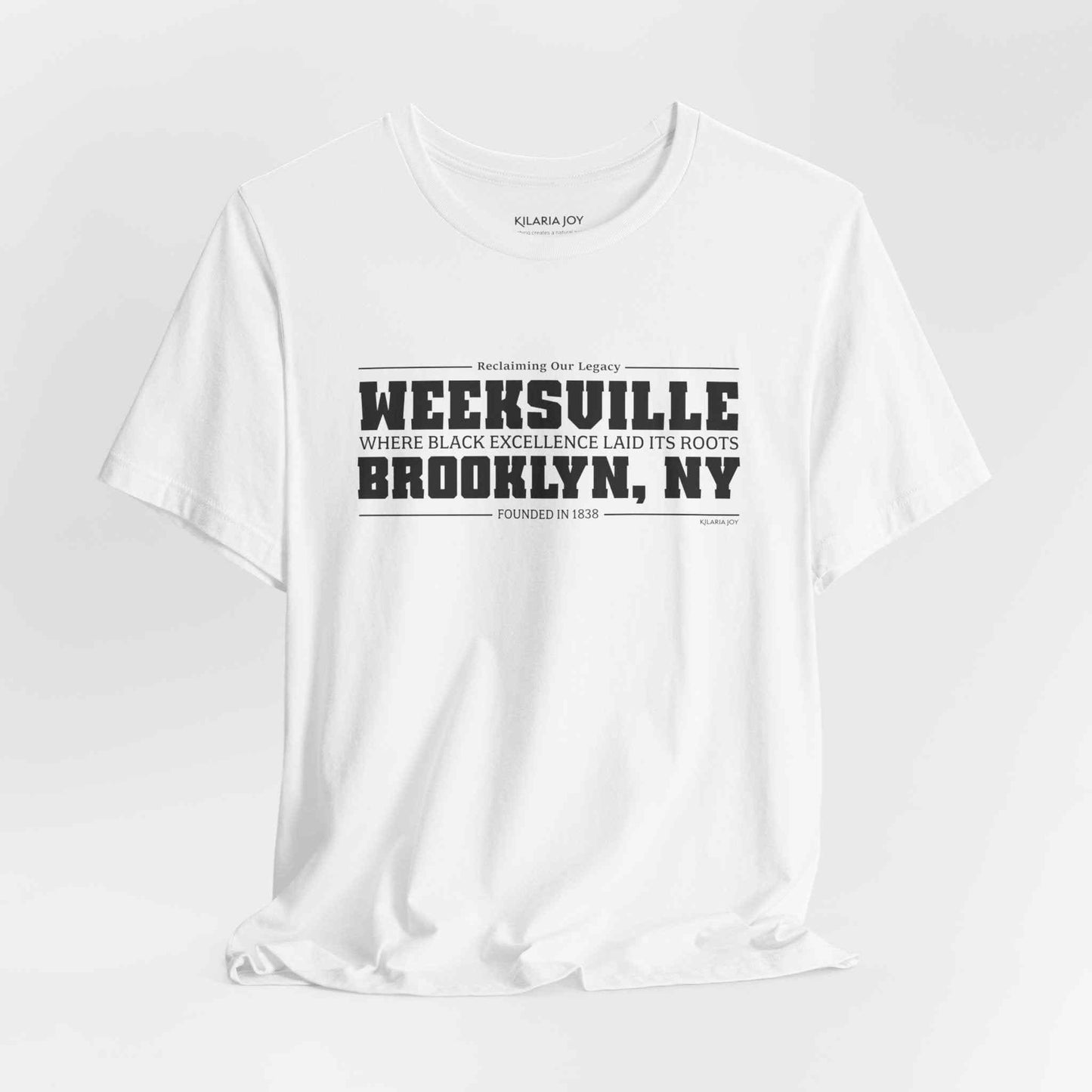 Weeksville Men's Classic Modern Fit T-Shirt