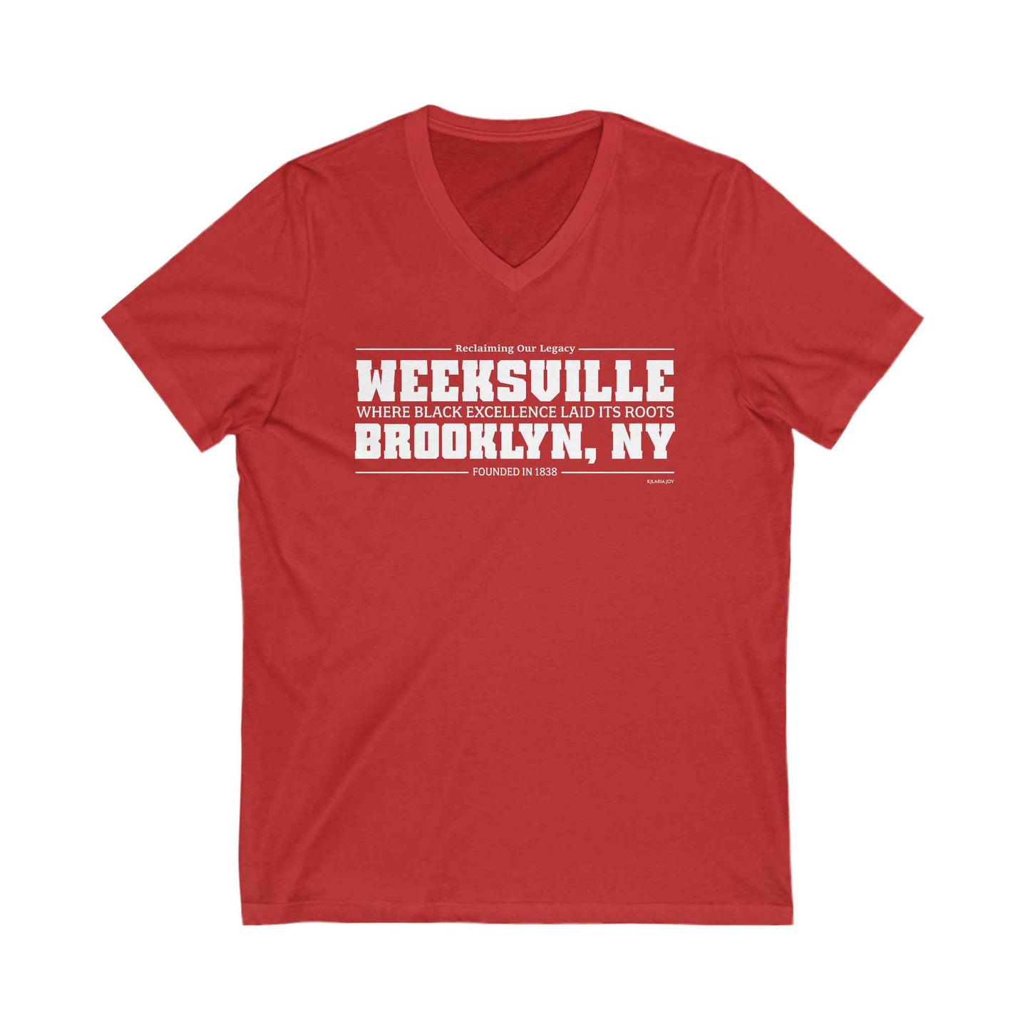 Weeksville Women's Premium V-neck T-shirt