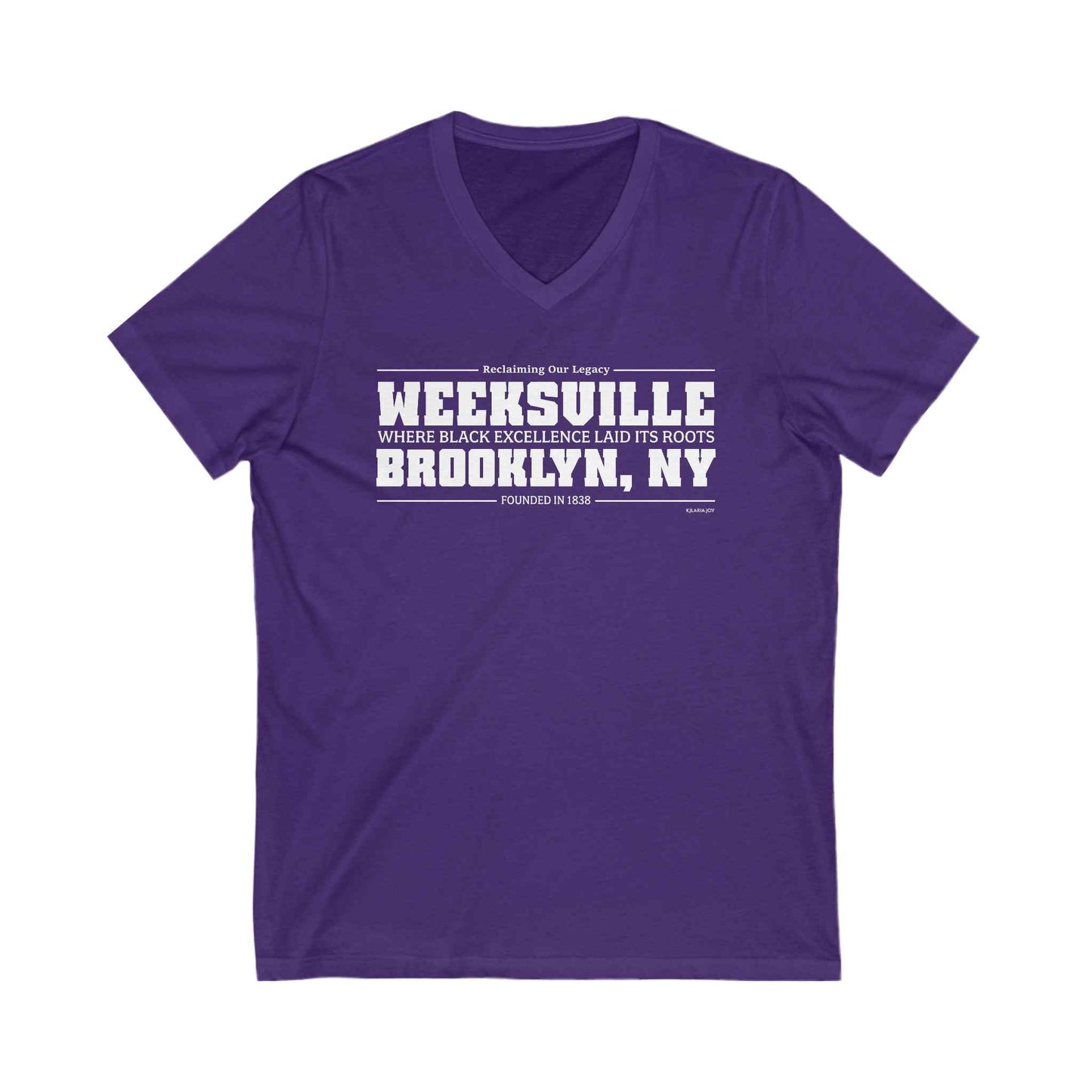 Weeksville Women's Premium V-neck T-shirt