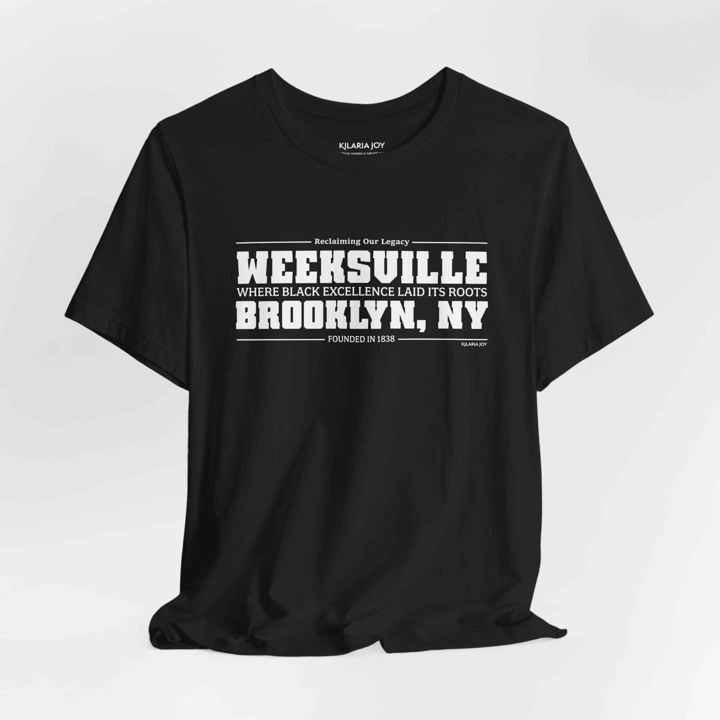 Weeksville Men's Classic Modern Fit T-Shirt