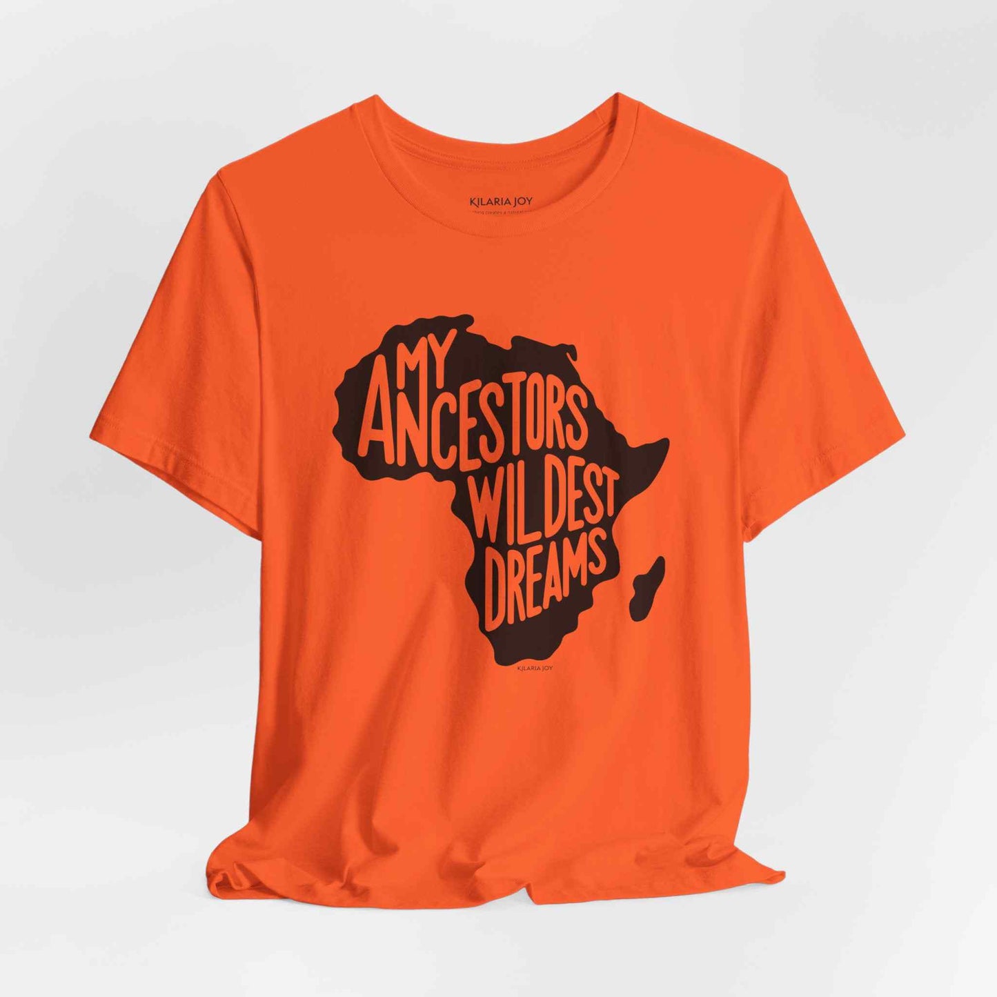 Ancestors Wildest Dreams Women's Classic Modern Fit T-Shirt