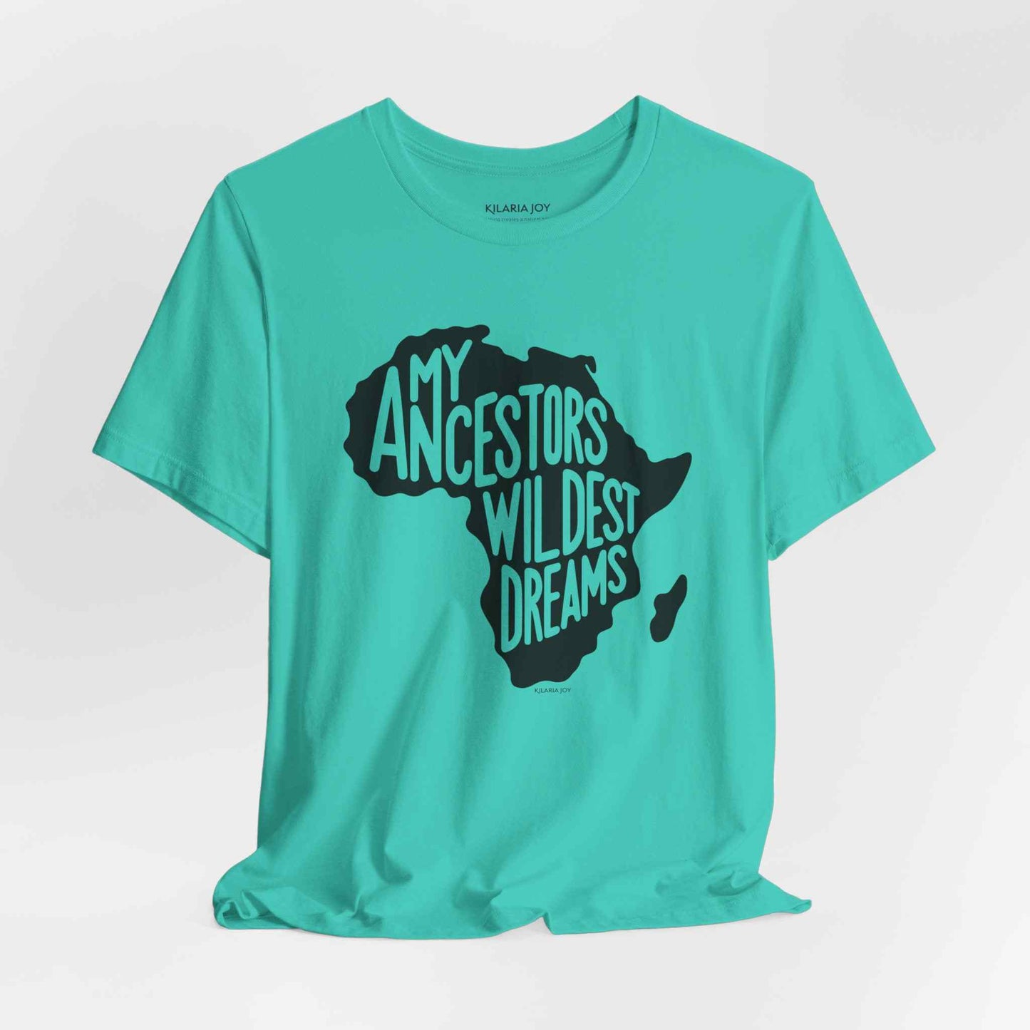 Ancestors Wildest Dreams Women's Classic Modern Fit T-Shirt