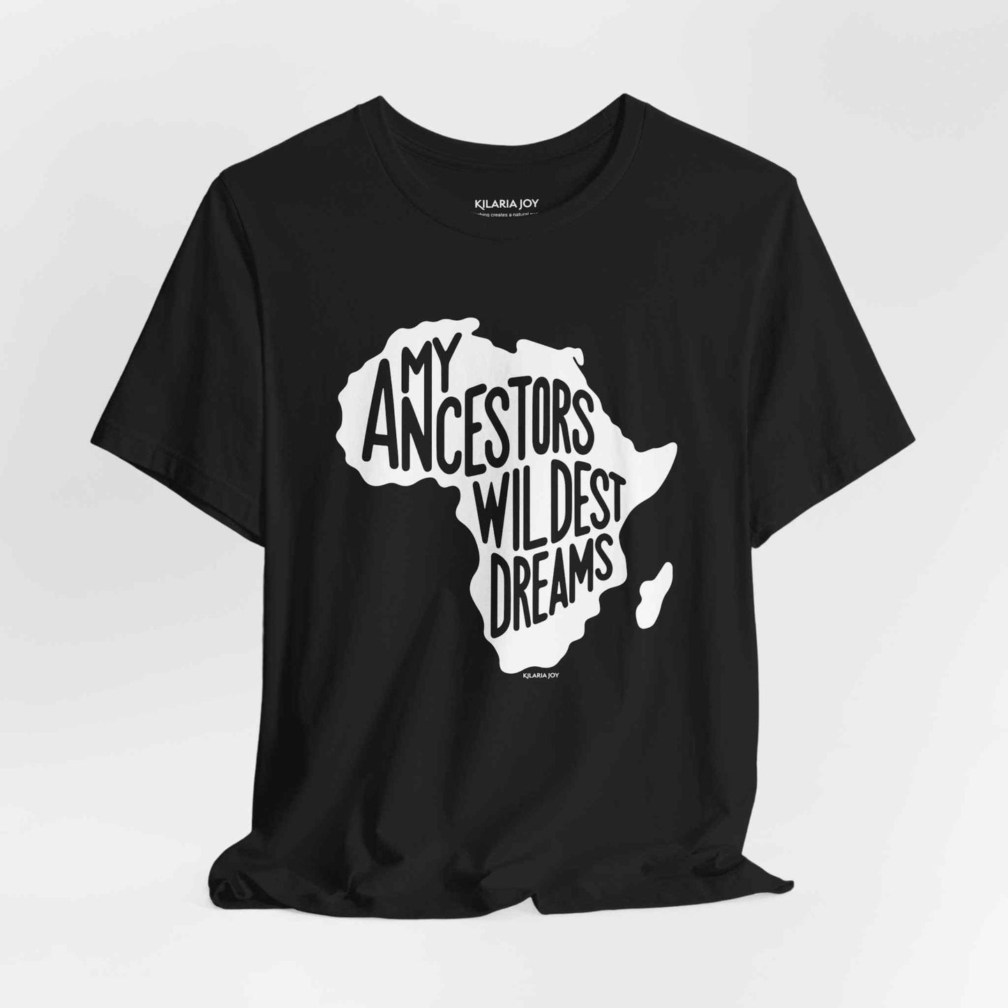 Ancestors Wildest Dreams Women's Classic Modern Fit T-Shirt