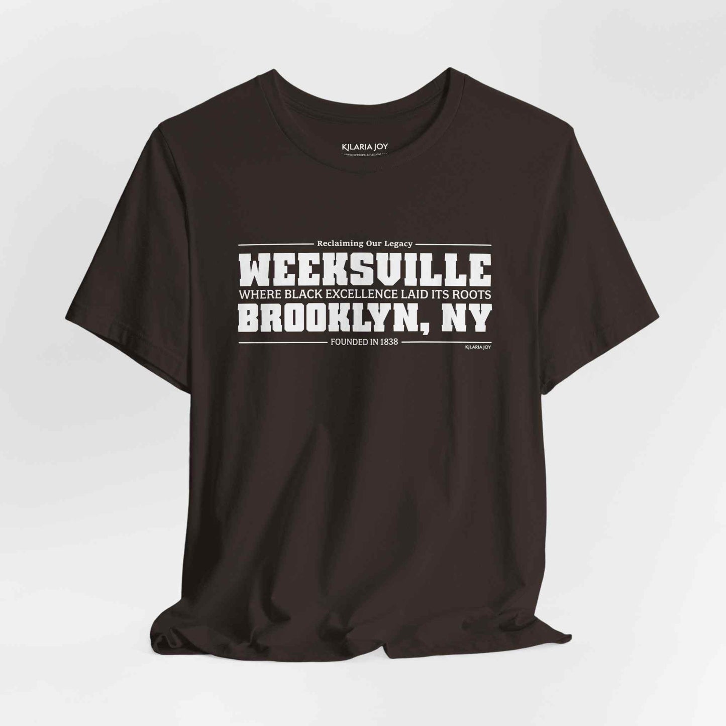 Weeksville Men's Classic Modern Fit T-Shirt