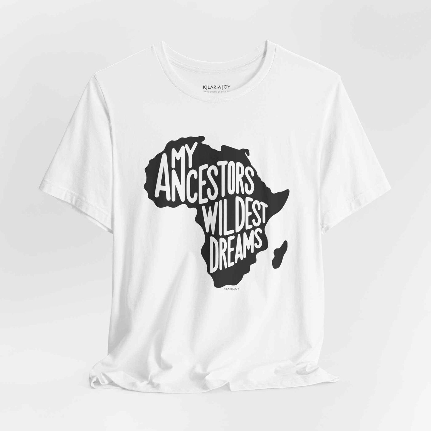 Ancestors Wildest Dreams Women's Classic Modern Fit T-Shirt