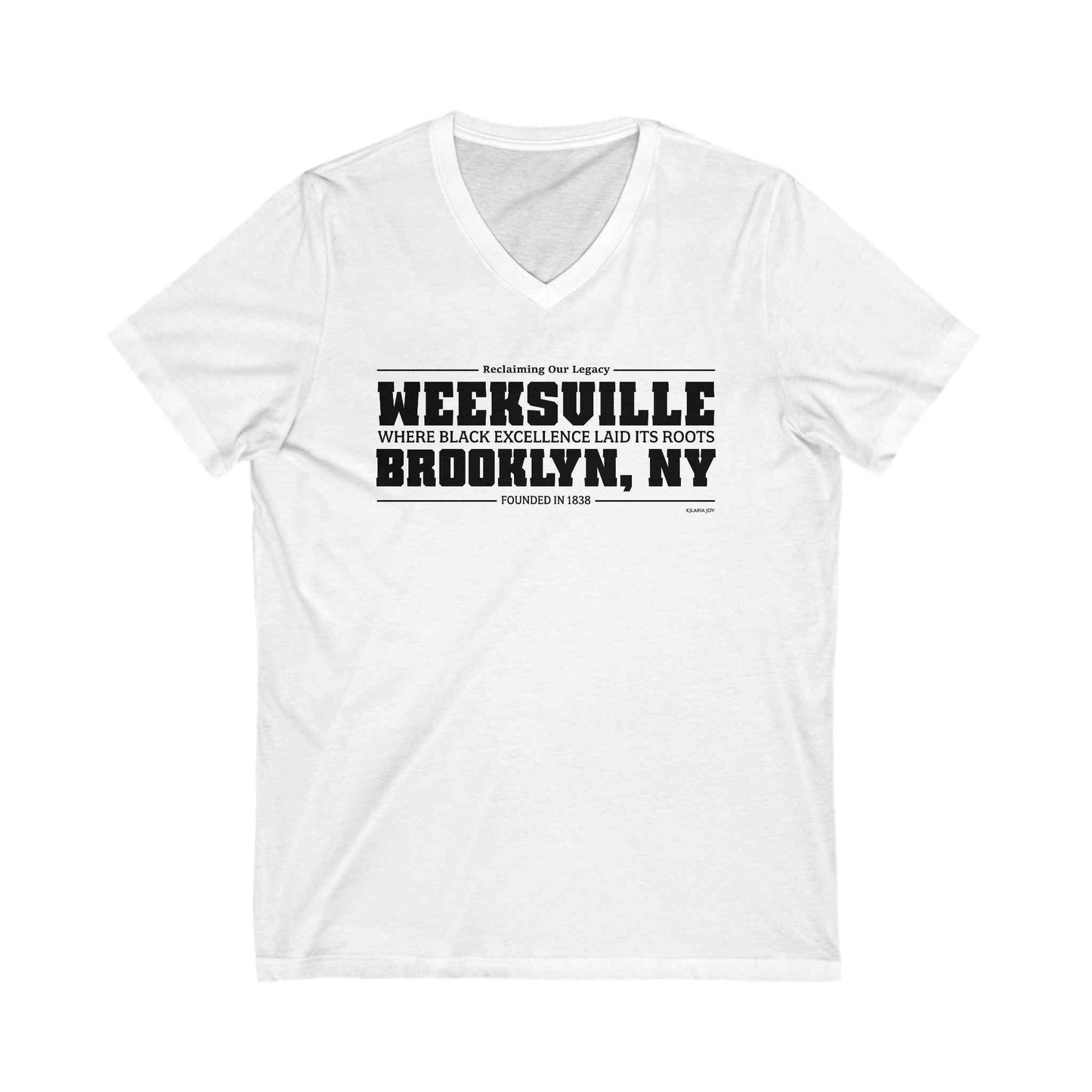 Weeksville Women's Premium V-neck T-shirt