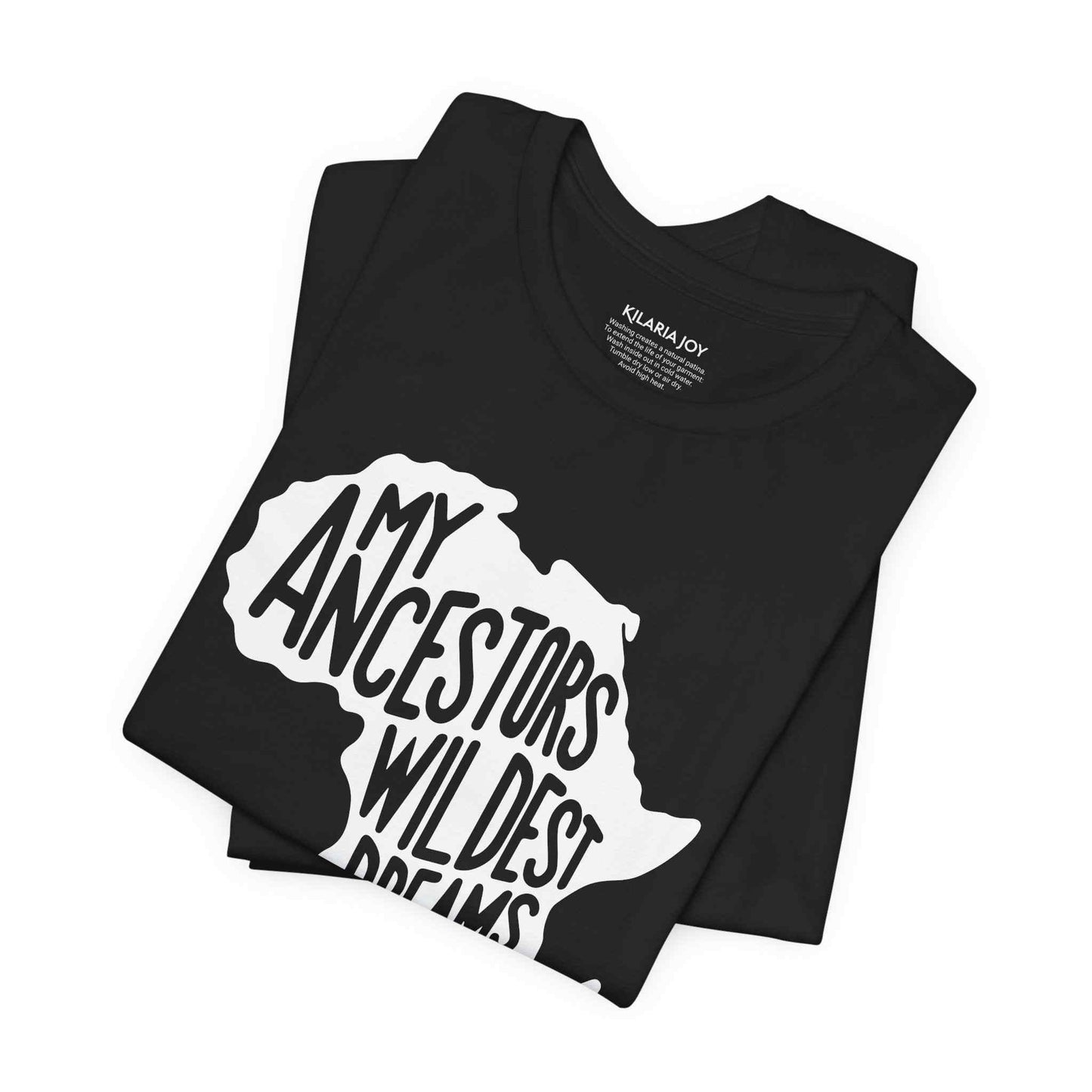 Ancestors Wildest Dreams Women's Classic Modern Fit T-Shirt