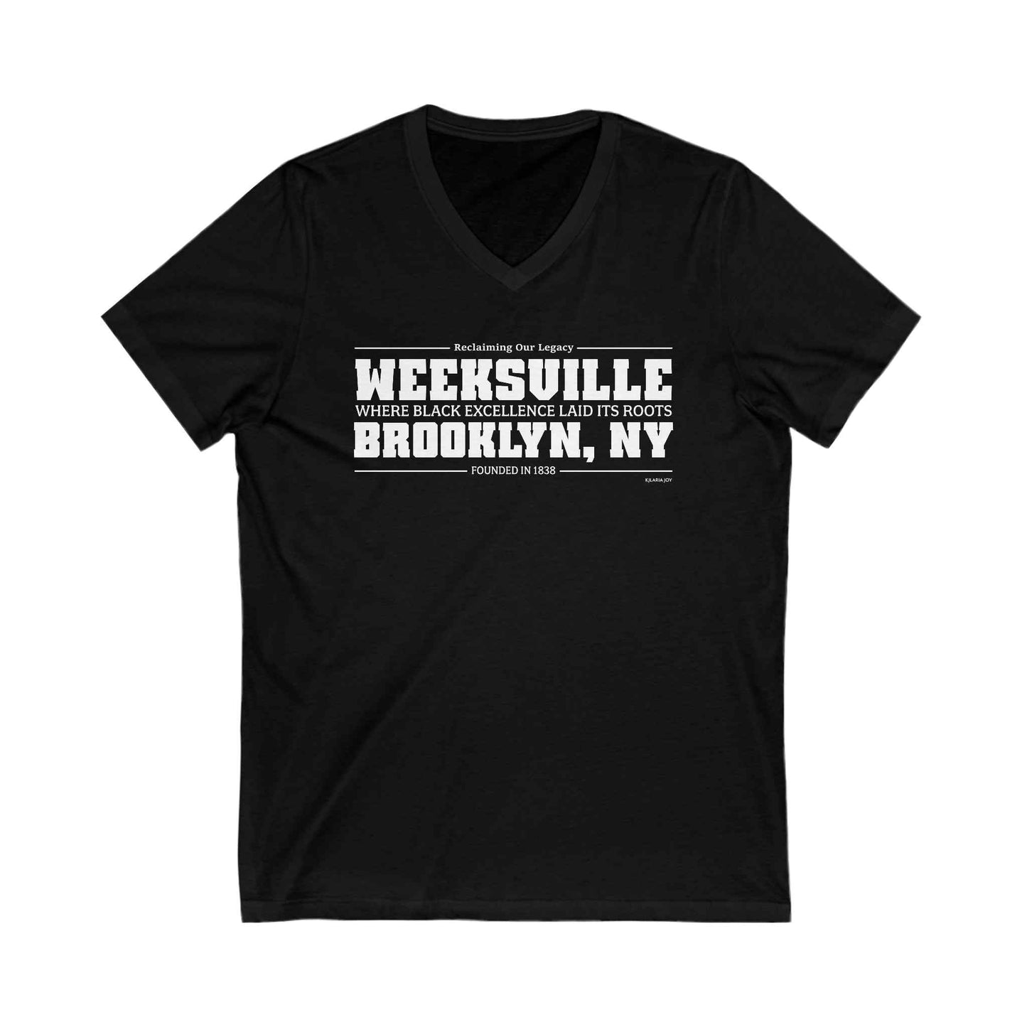 Weeksville Women's Premium V-neck T-shirt