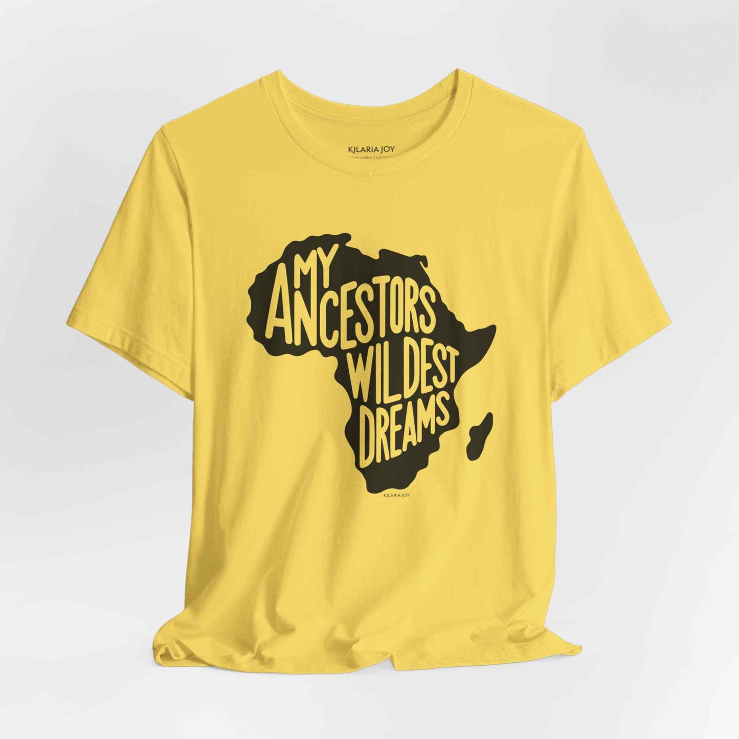 Ancestors Wildest Dreams Women's Classic Modern Fit T-Shirt