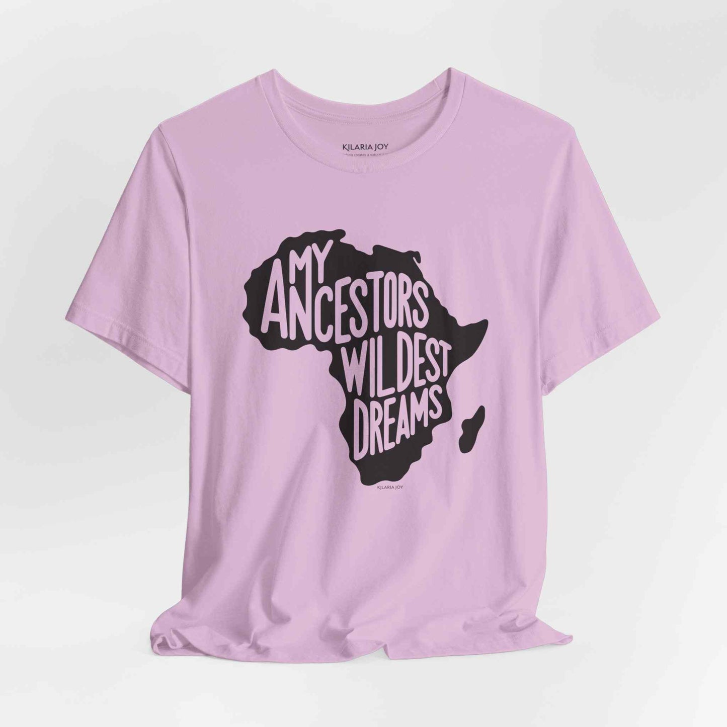 Ancestors Wildest Dreams Women's Classic Modern Fit T-Shirt